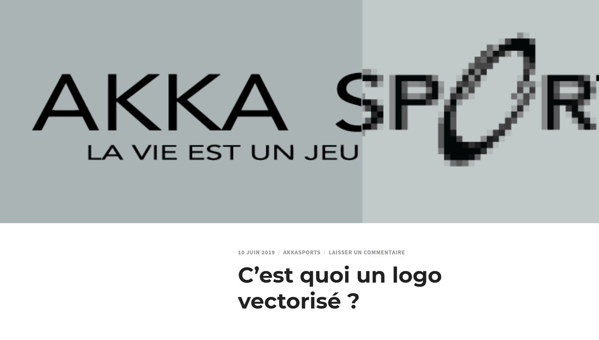 C’est quoi un logo vectorisé ?